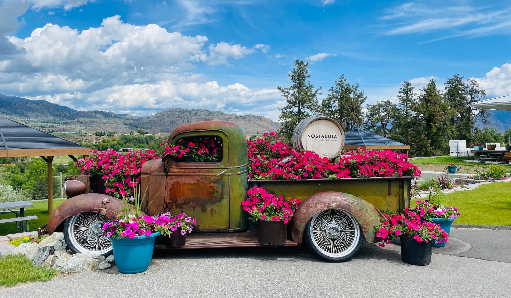 Nostalgia Wines