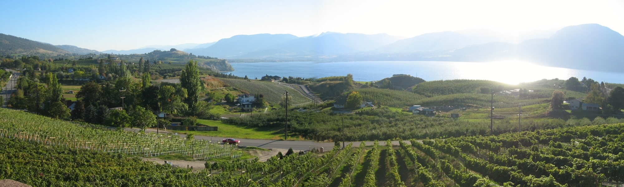 Laughing Stock Vineyards