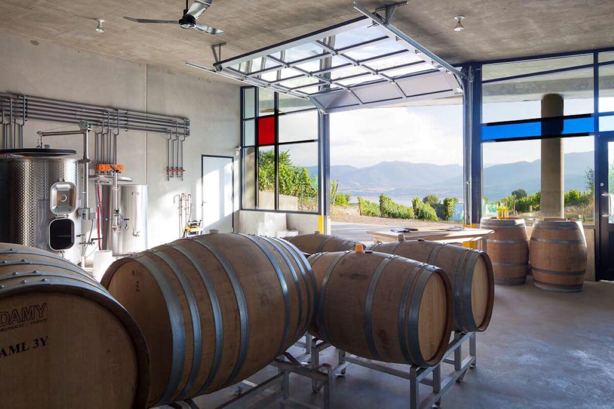 Terravista Vineyards