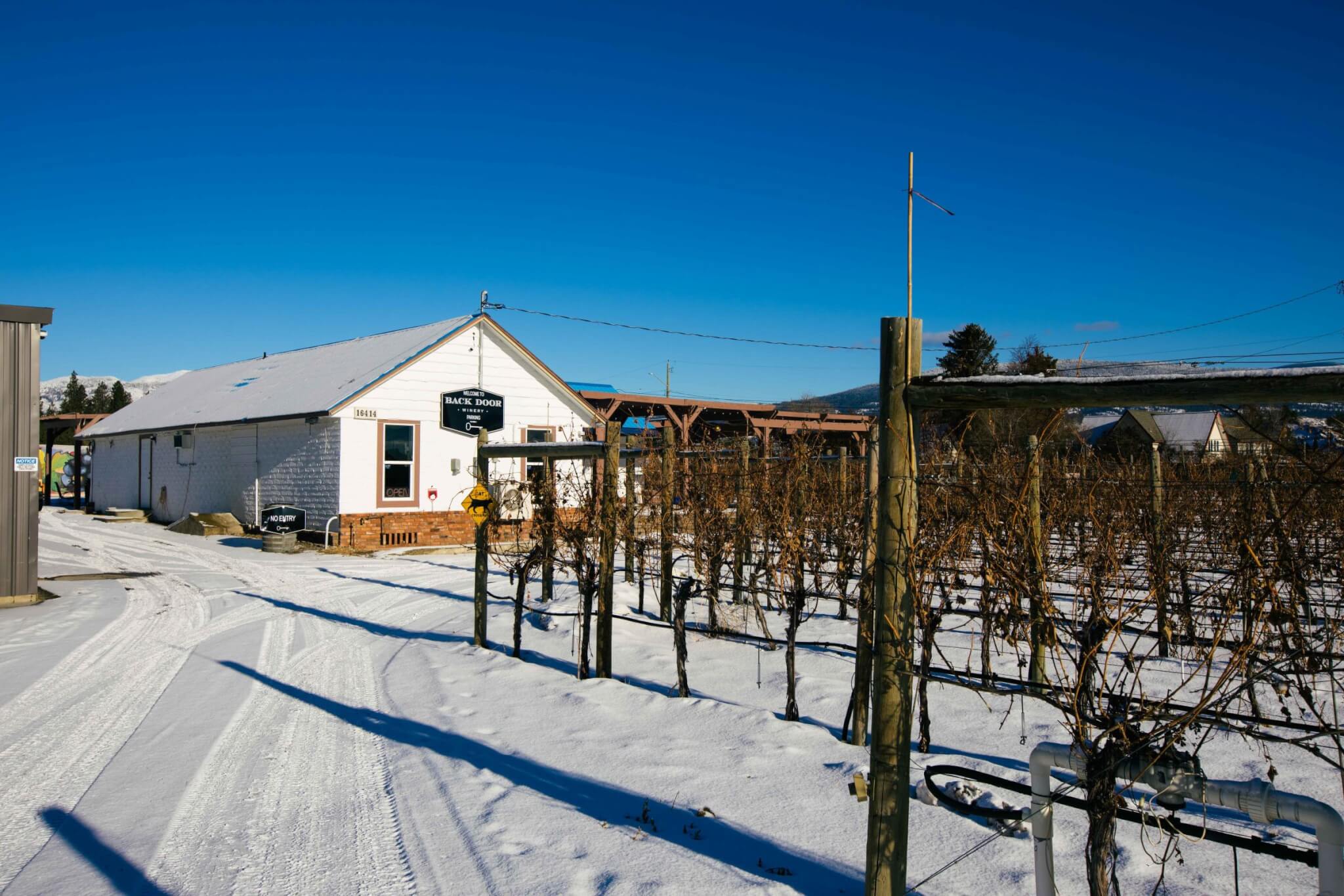 Back Door Winery