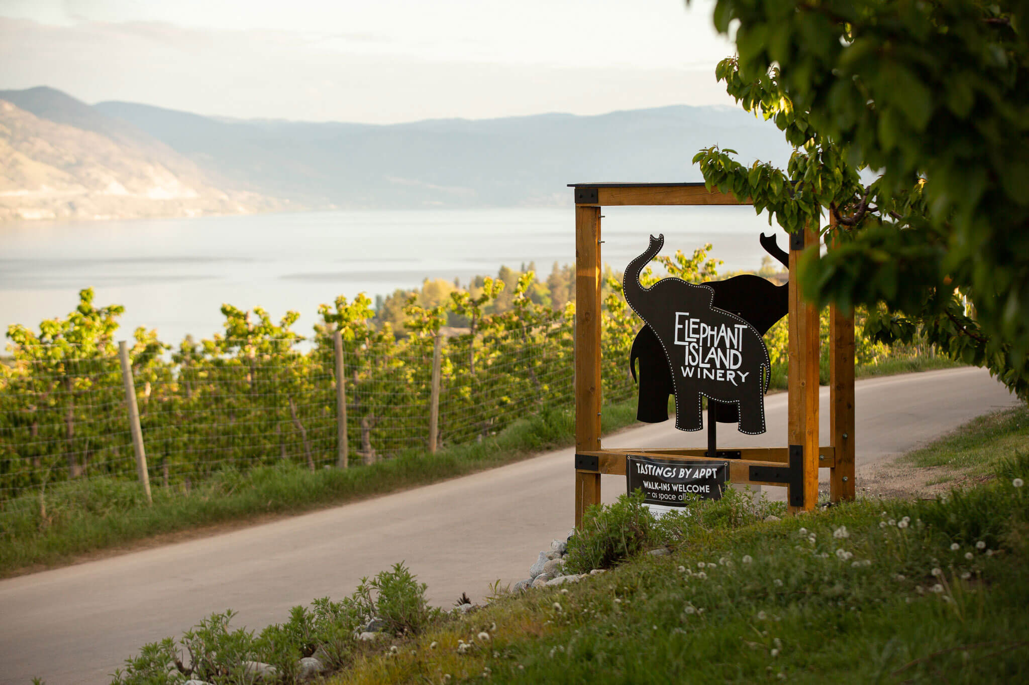 Elephant Island Winery