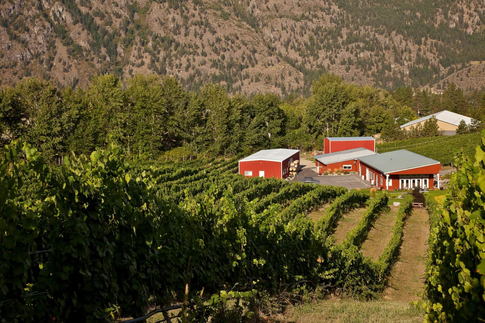 Meyer Family Vineyards