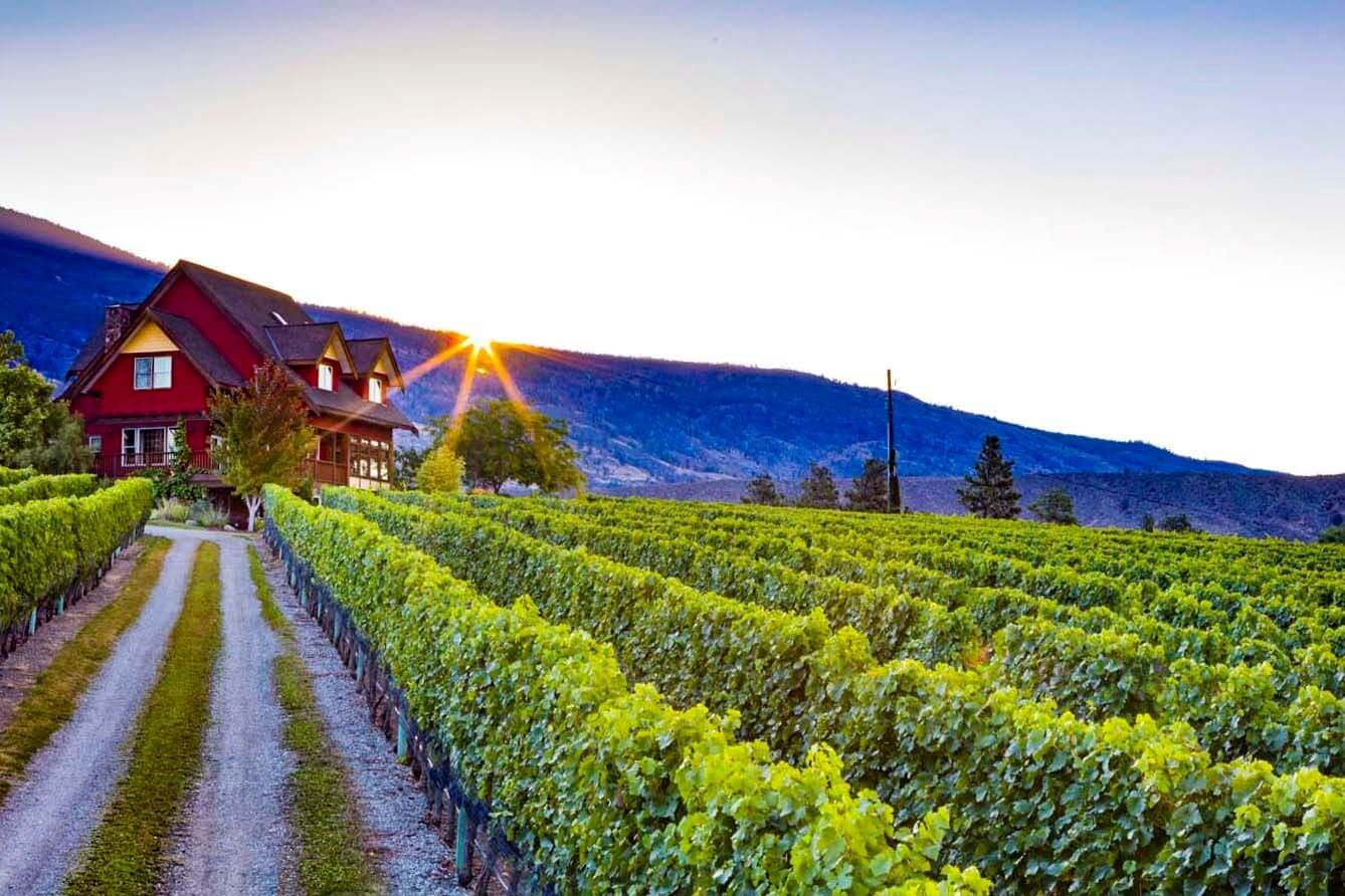 River Stone Estate Winery