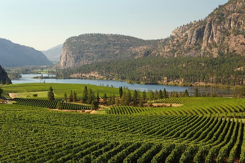 Discover The Okanagan Falls Wine Region